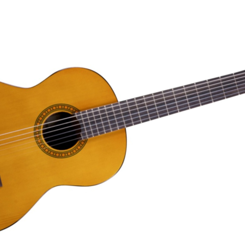 Chard Acoustic Guitar (classic)